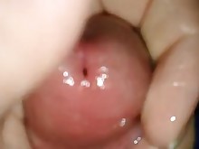 amateur big-cock cumshot hardcore horny hot masturbation mature